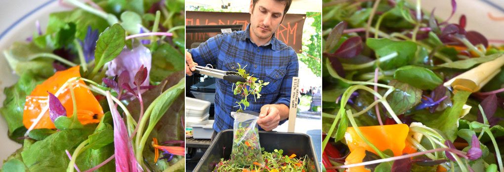 Farmer George at the Sebastopol Farmers Market