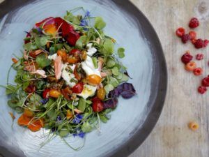 Salad of Earthworker Farm greens, smoked salmon, currant tomatoes and a poached egg. Photo by Beth Schlanker. 