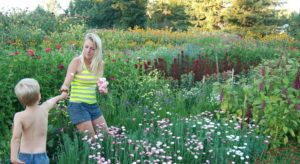Hedda, Full Bloom Flower Farm