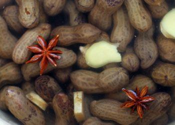 Boiled Peanuts