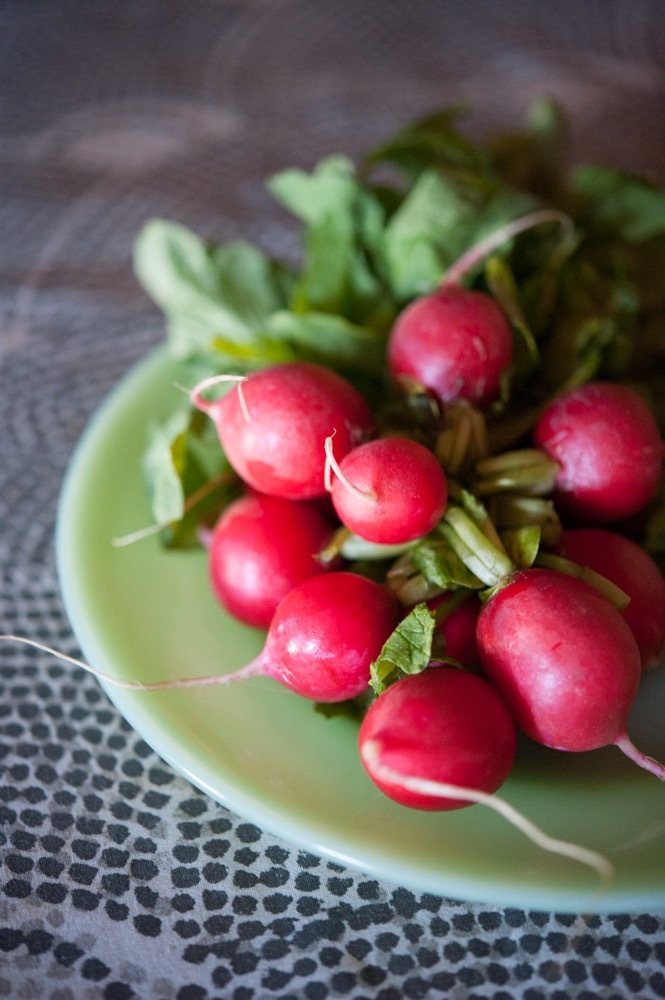 Red radishes, fresh from the Sebastopol farmers market