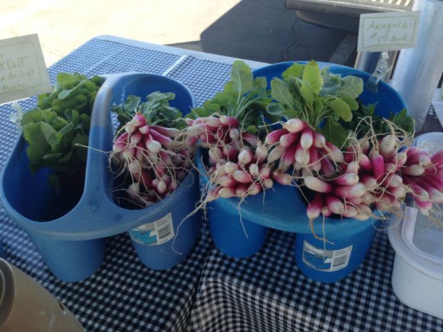 Arugula at from Ridgeview Farm in Healdsburg