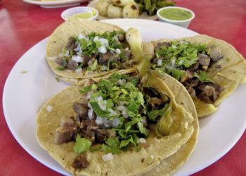 Three tacos, grilled onions, cilantro, and a bit of salsa