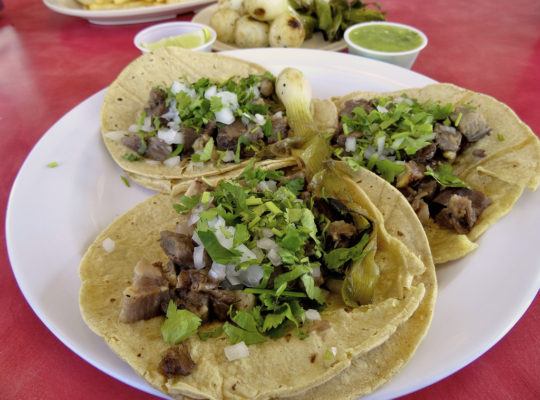 Three tacos, grilled onions, cilantro, and a bit of salsa