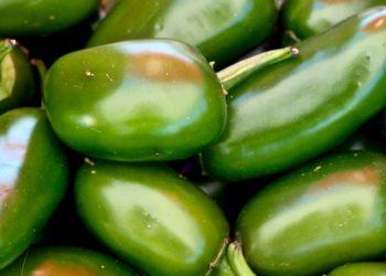 Green Jalepenos Close up