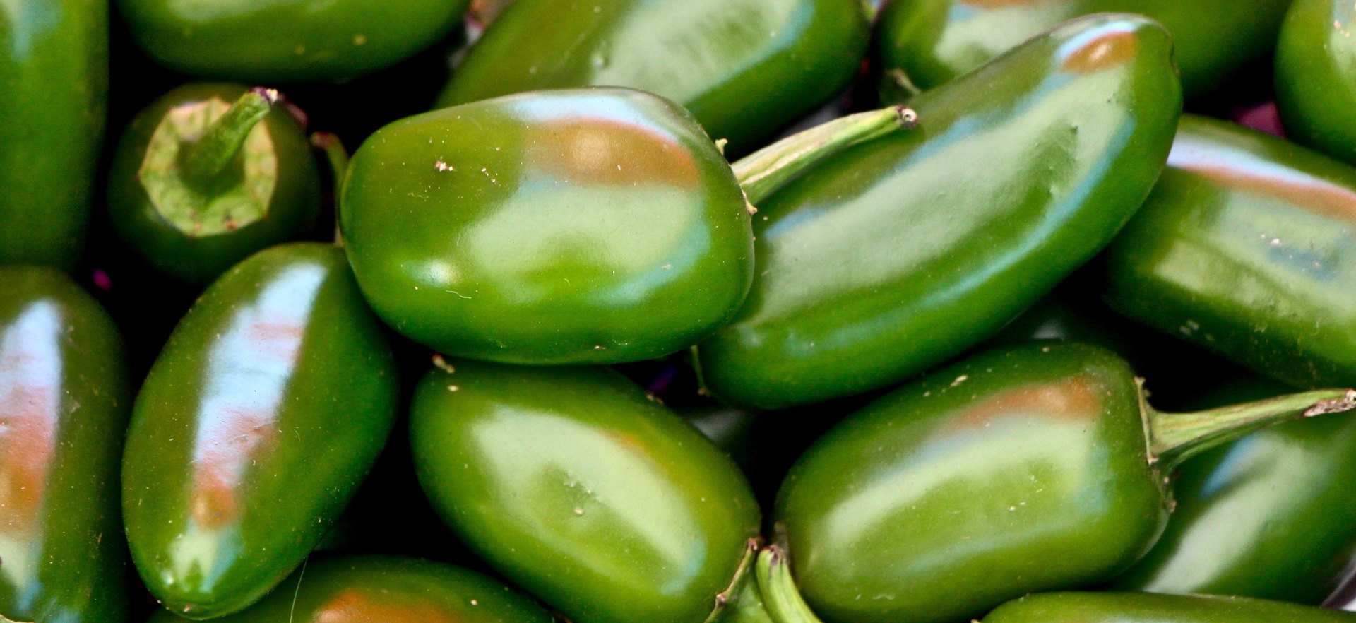 Green Jalepenos Close up