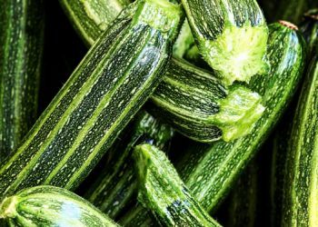 Romanesco Zucchini