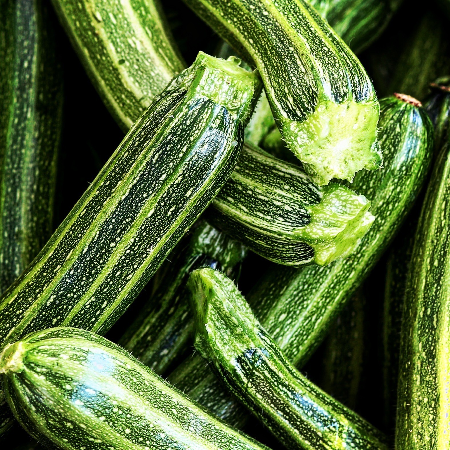 Romanesco Zucchini