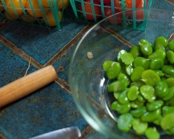 Freshly blanched and peeled Favas