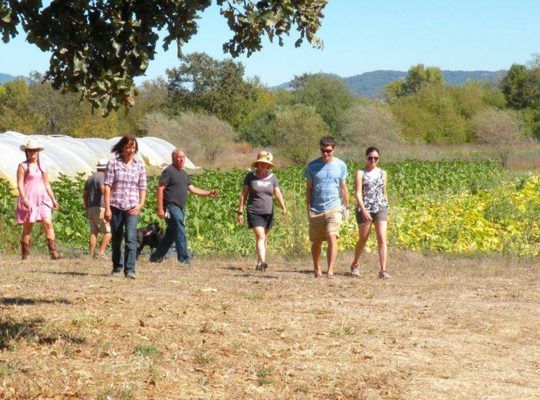 People Walking at Laguna Farms