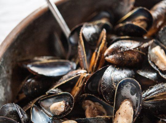 Mussels freshly prepared