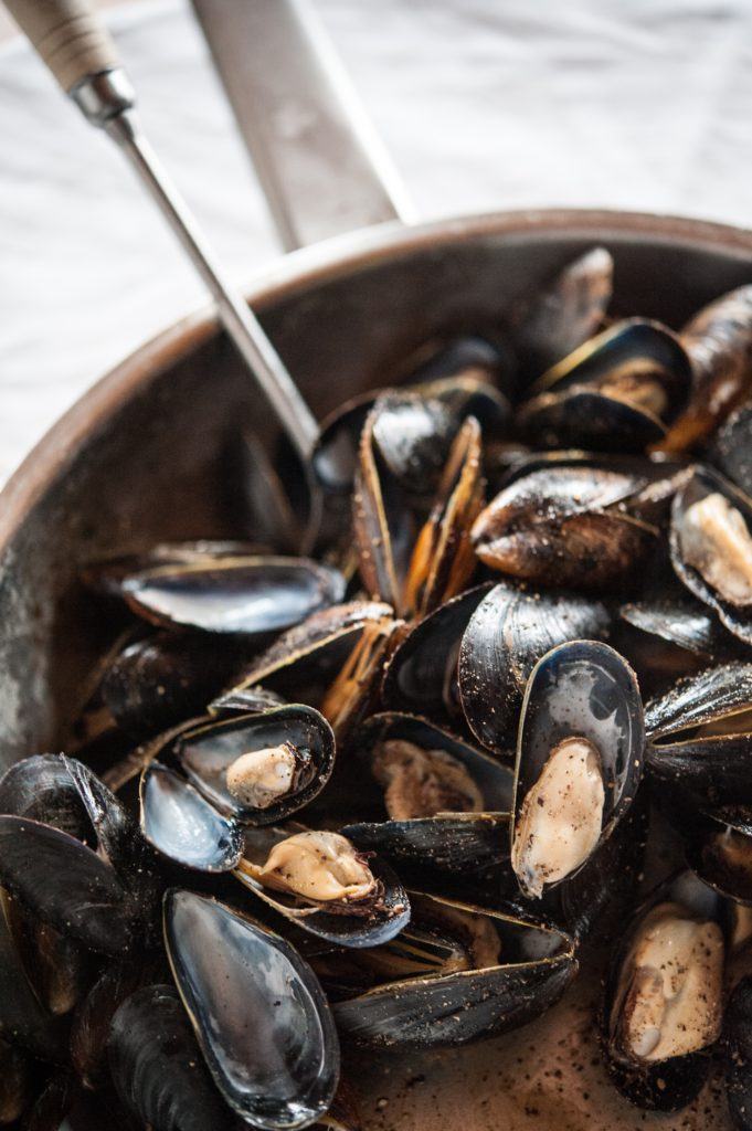 Mussels freshly prepared