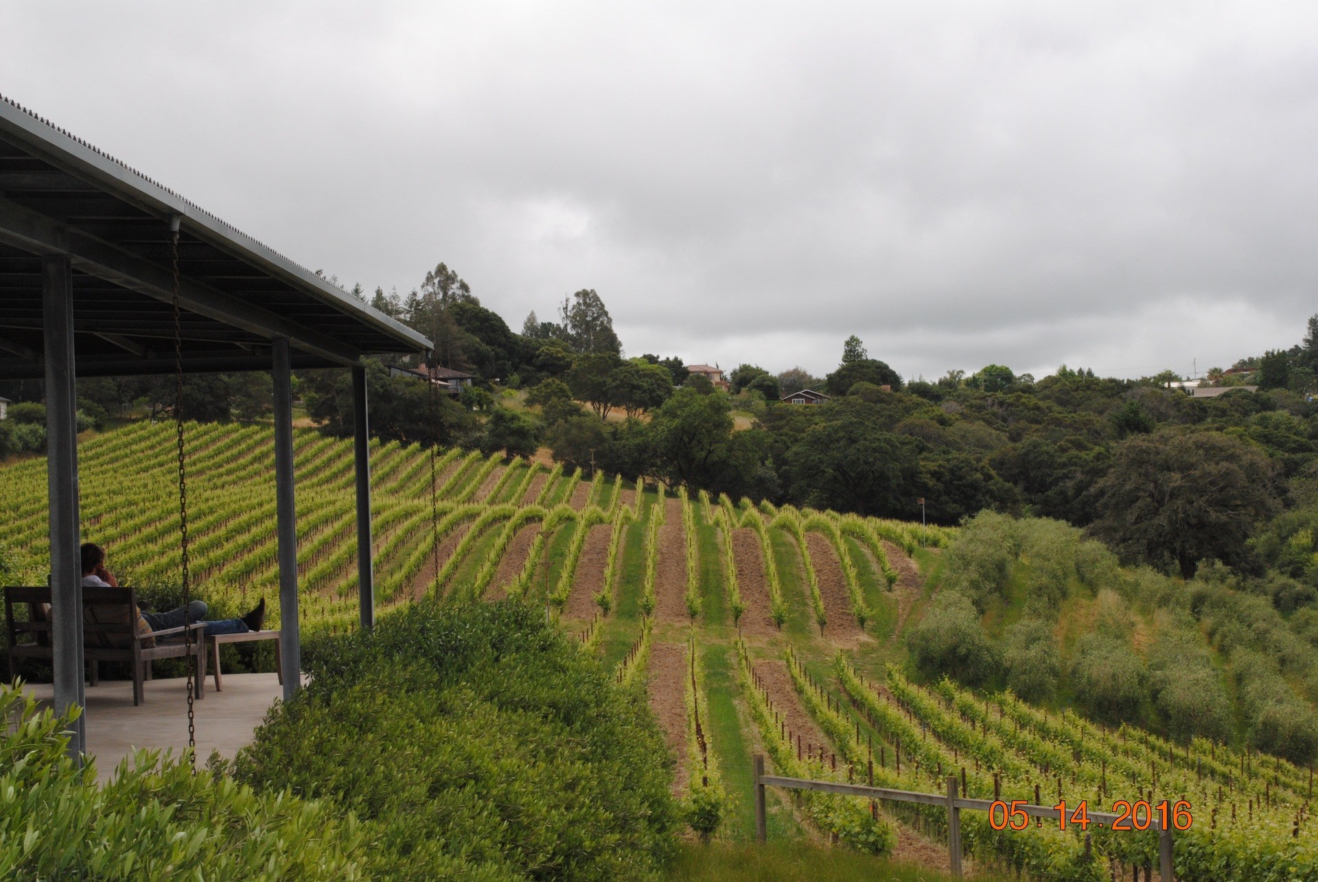 Baker Lake Vineyards View