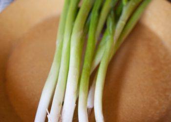 Green Onions on plate