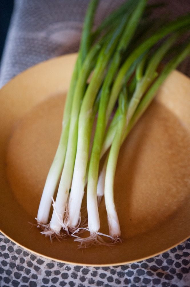Green Onions on plate