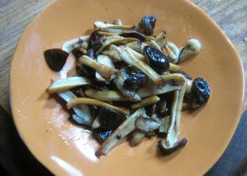 Sautéed mushrooms