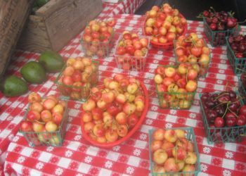 Variety of cherries at farmers market