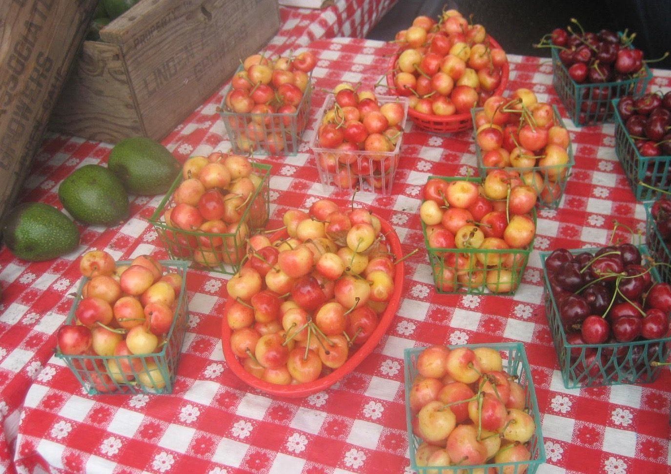 Variety of cherries at farmers market