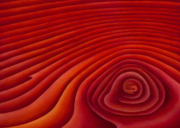 "red" painting by Mary Jarvis