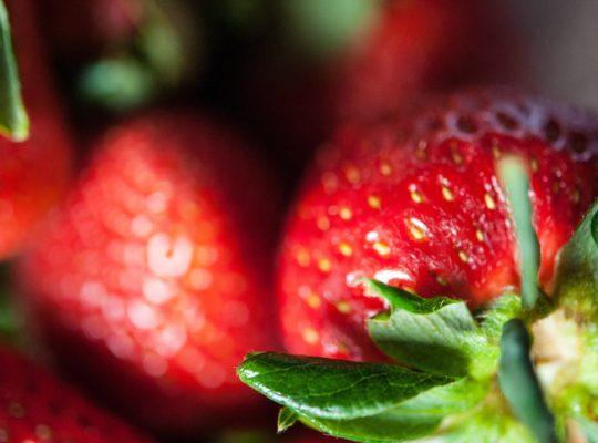 Fresh Strawberries at Armstong Valley Farm