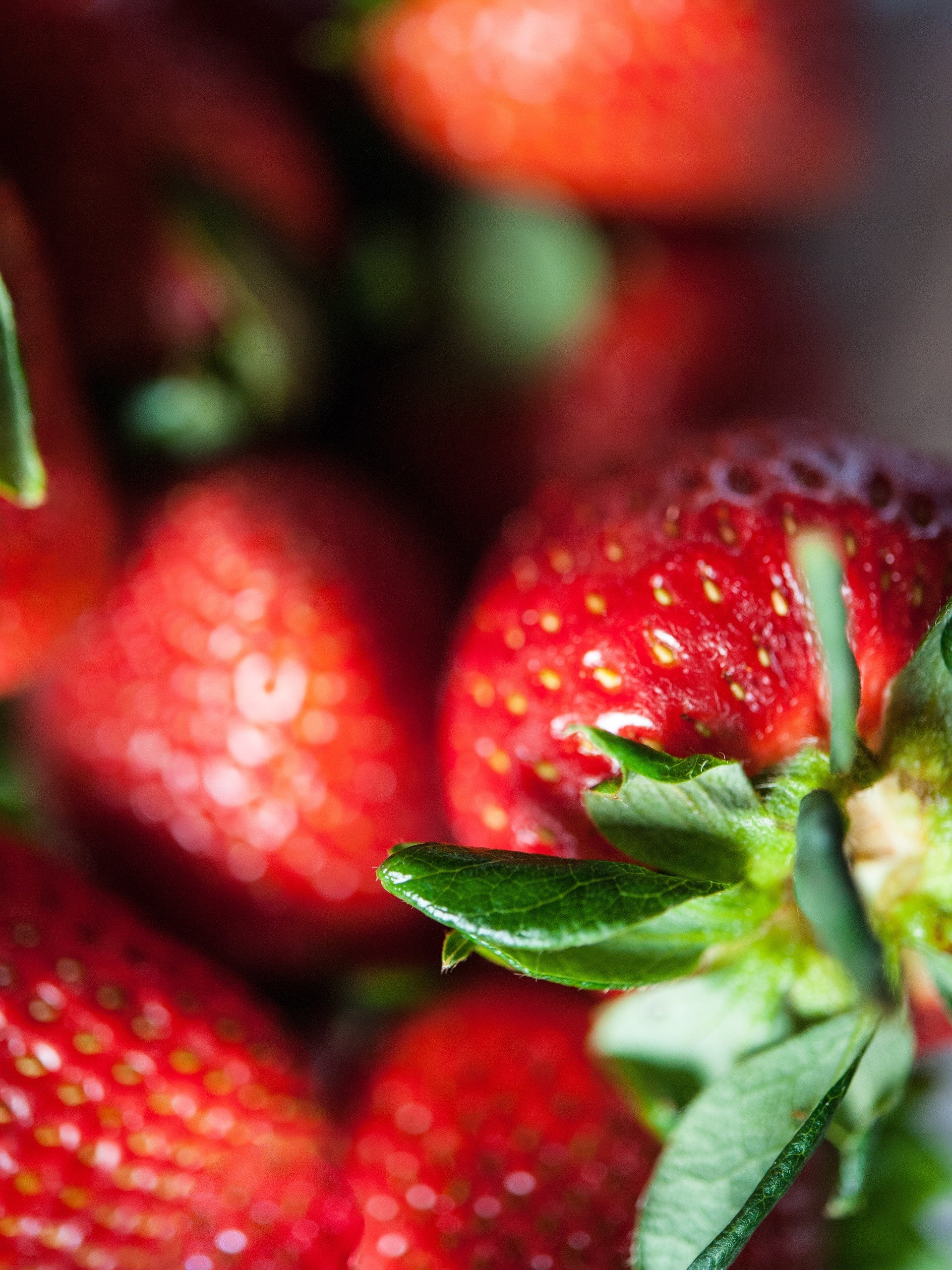 Fresh Strawberries at Armstong Valley Farm