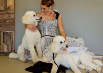 White Poodles