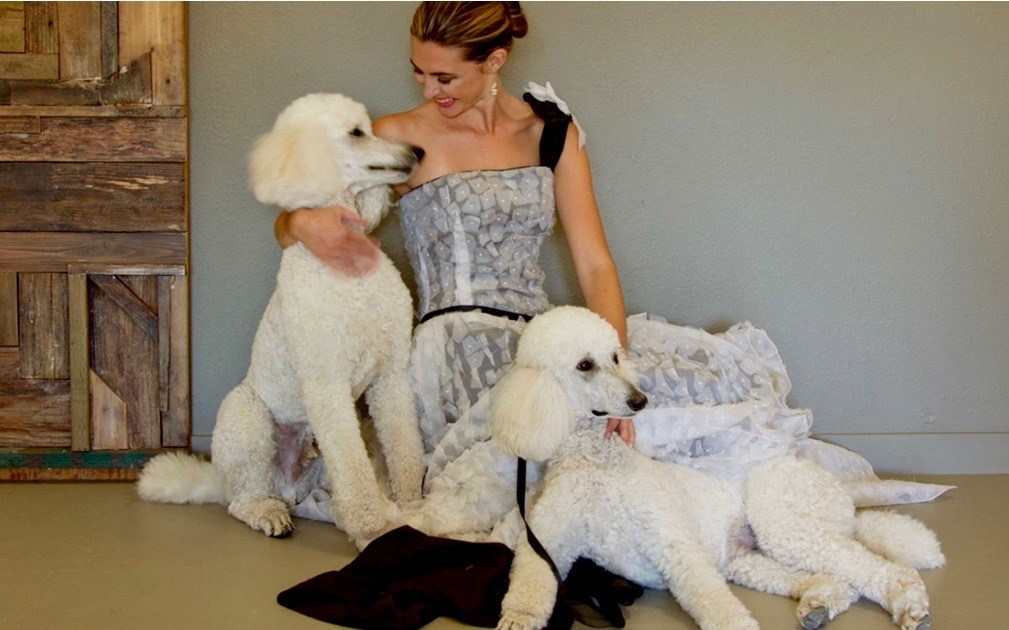 White Poodles