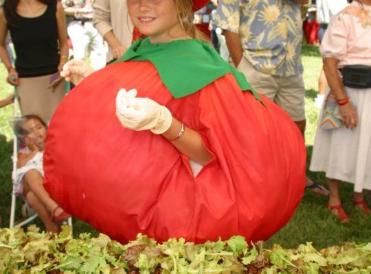 Girl dressed up as a tomato